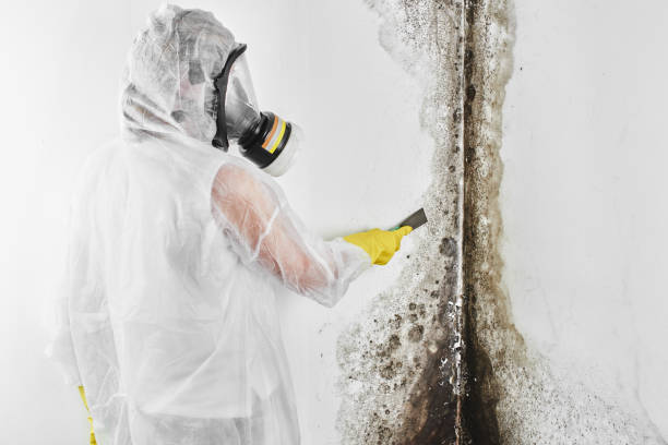 Best Water Damage Restoration  in Jermyn, PA