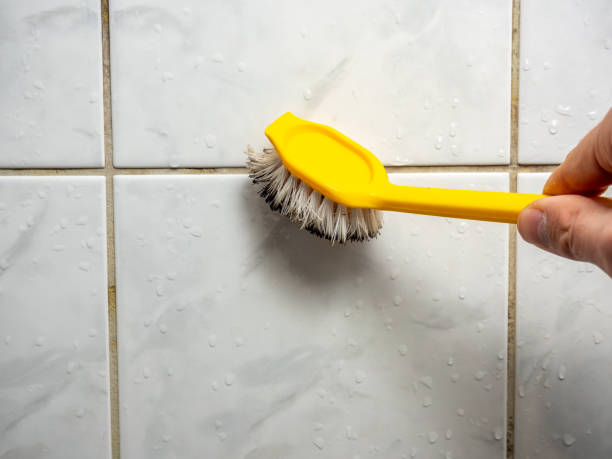 Best Attic Mold Removal  in Jermyn, PA