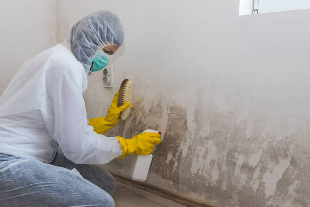 Crawl Space Mold Removal in Jermyn, PA