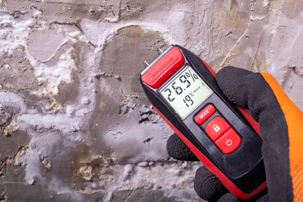 Jermyn, PA Mold Removal Company