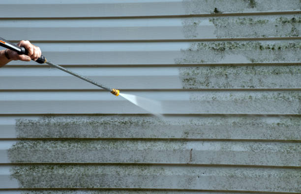 Best Local Mold Removal Service  in Jermyn, PA