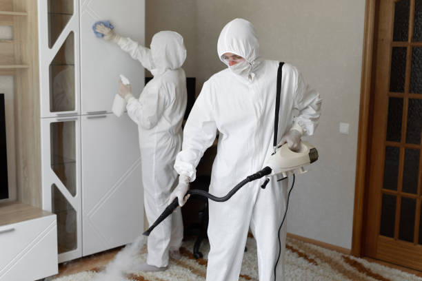 Best Mold Testing  in Jermyn, PA