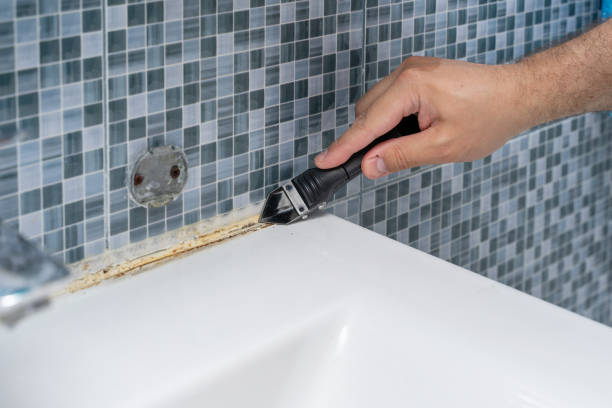 Mold Testing and Removal in Jermyn, PA