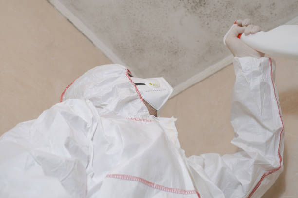 Mold Removal Process in Jermyn, PA