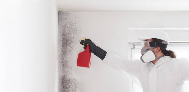 Best Crawl Space Mold Removal  in Jermyn, PA